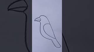 crow drawing