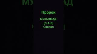 послание Аллаха (С.А.В) сказал тот кто #islam #религия #пророк #дуа #рамадан #мухаммадﷺ