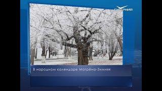 Матрена Зимняя. Календарь губернии от 22 ноября