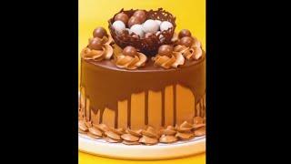 Super Amazing Asian Chocolate Cake For Party #mr. cakes