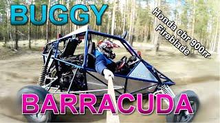 Багги Барракуда  buggy barracuda