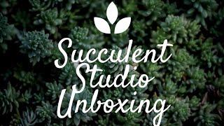 Succulent Studio Subscription Box Unboxing!