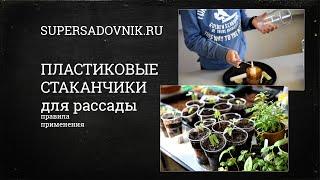 Пластиковые стаканчики для рассады