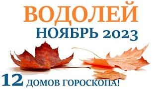 ВОДОЛЕЙ НОЯБРЬ 2023Прогноз на месяц таро расклад/ гороскоп/Все знаки зодиака! 12 домов гороскопа!