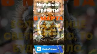 Примета на 06 марта 2024 #мудрыемысли #мудрыеслова #приметы #деревня #приметыдня #примета