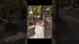 creative photography tips trick withe phone using pro mood? Mobile photography?#aziz_click