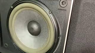 Loa bose, tannoy cho ae chơi Tết, 301sonata limited hiếm hiếm lh 0363648707