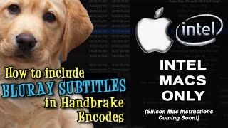 How to include Bluray subtitles in Handbrake Encodes on Intel Mac