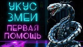 Укус змеи. Первая помощь. Что делать и чего делать не надо #ПроСМП