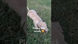 Playing stick outside 