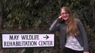 Hallie Kiser Lees McRae Video Essay