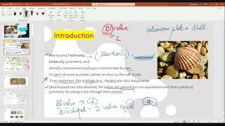 Paleontology Previous year Q&A and Numerical class video-7: BRAHMASTRA (Hinglish)