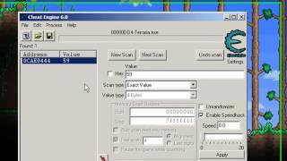 Terraria cheat invincibility - Cheat engine