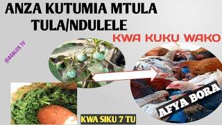 FAIDA ZA TULA TULA/NDULELE KWA KUKU