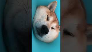 Snoring girl