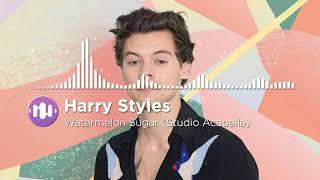 Harry Styles - Watermelon Sugar (Studio Acapella)