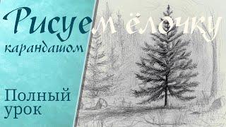 Как нарисовать ёлку карандашом. Поэтапный рисунок