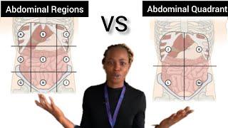 ABDOMINAL QUADRANTS + ABDOMINAL REGIONS AND THE ORGANS SITUATED IN THESE AREAS