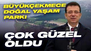 Büyükçekmece Doğal Yaşam Parkı Çok Güzel Oldu