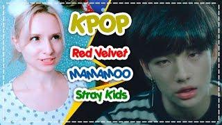 РЕАКЦИЯ НА KPOP! Red Velvet, MAMAMOO, Stray Kids. Reaction | ARI RANG