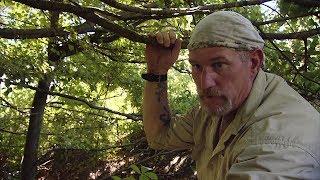 Dual Survival