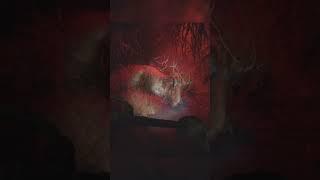 Full video posted #fossilfuel #dinosaur #jurassicworld #horror