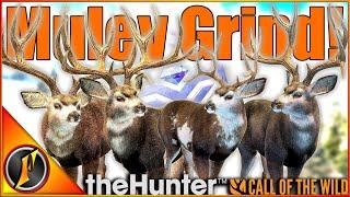 Diamonds EVERYWHERE! | Mule Deer Great One Grind in theHunter Call of the Wild!