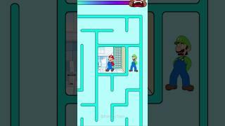 Heart Pounding Maze Race - Mario x Luigi