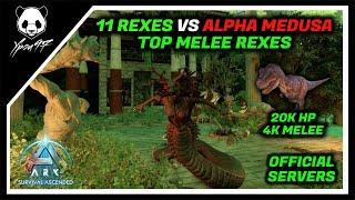 Top Melee Rexes Vs ALPHA MEDUSA In Astraeos | ARK: Survival Ascended