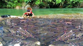 Survival Skills, Boy Demonstrates Traditional Fishing Methods. #wanderingboy #fishing #trapfishing.