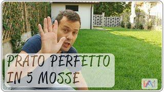 Prato perfetto in 5 mosse (oltre a lama tagliaerba sempre affilata) | Fai da te