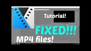 Sony Vegas Pro 13/14: How To Fix MP4/AVI File Import Error