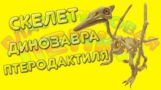 СКЕЛЕТ ДИНОЗАВРА ПТЕРОДАКТИЛЯ ИЗ ПЛАСТИЛИНА | PLASTICINE SKELETON DINOSAUR PTERODACTYLUS