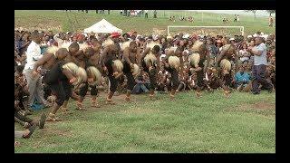 President Jacob Zuma attends the 16th Annual Traditional Indlamu Festival