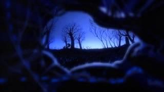 Miktek -  incompressible flow