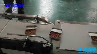 mixed bean small  box semi automatic packaging machine from Wilpac