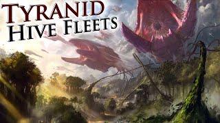 The Tyranid Hive Fleets: Explained | Warhammer 40k Lore