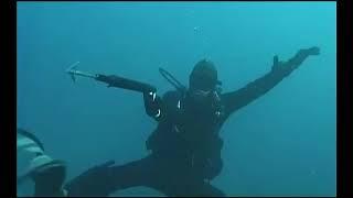 Frogwoman Scuba Fights Diver Underwater