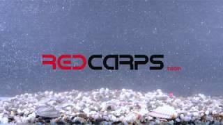 Red Carps soluble boilies. Персик манго. Работа пыликов. Карпфишинг.