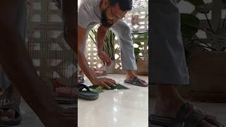 We caught a parrot BUT....