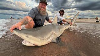 Catching BULL SHARKS on a Florida Beach! Deploying Baits with a Drone!