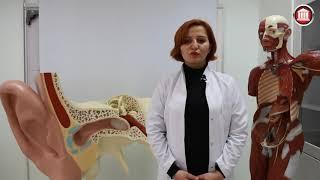 Anatomi Anabilim Dalı | İNÖNÜ ÜNİVERSİTESİ