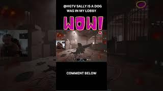 @HGTV SALLY IS A DOG WAS IN MY LOBBY#shorts