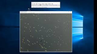 ImageJ Tutorial Manual cell counting using Multi point Tool