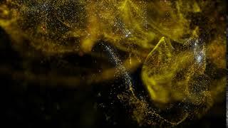 Golden Dust Background Animation | Free Background video Footage | Stock video