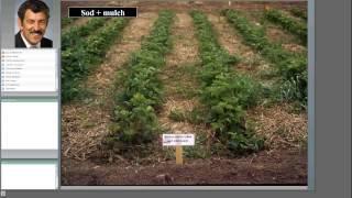 Weed Management Strategies for Berry Crops