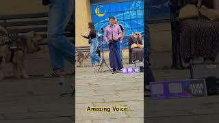 Singer #streetentertainment #busker #busking #music #oldclassicsong