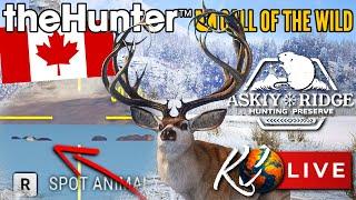 RARE BEAVER ON MY MAP?! 🟥🟥 Alberta Boy Hunts Askiy Ridge! | Call of the Wild