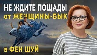 НЕ Ждите ПОЩАДЫ от Женщины-БЫК | ЖЕНЩИНА - Бык в Фен Шуй