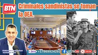 Criminales sandinistas se toman la OEA.